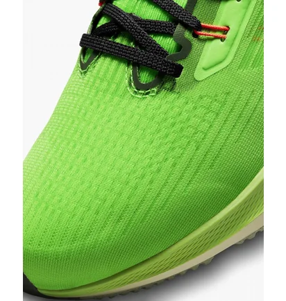 Кроссовки мужские Nike Air Zoom Pegasus 39 Green Dz4776-343