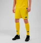 Шорты мужские Adidas Ukraine 24 Yellow IK2248