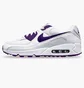 Кросівки чоловічі Nike Air Max 90 MenS Shoe White CT1028-100