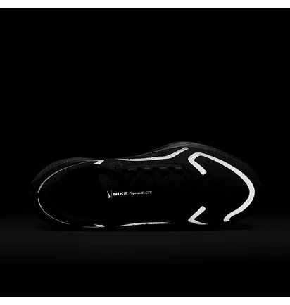 Кросівки чоловічі Nike Pegasus 41 Gore-Tex Waterproof Road Running Black FQ1357-001