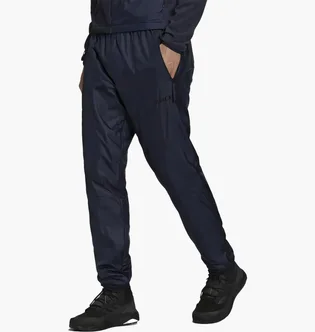 Штаны мужские Adidas Multi Primegreen Terrex Blue GQ2910