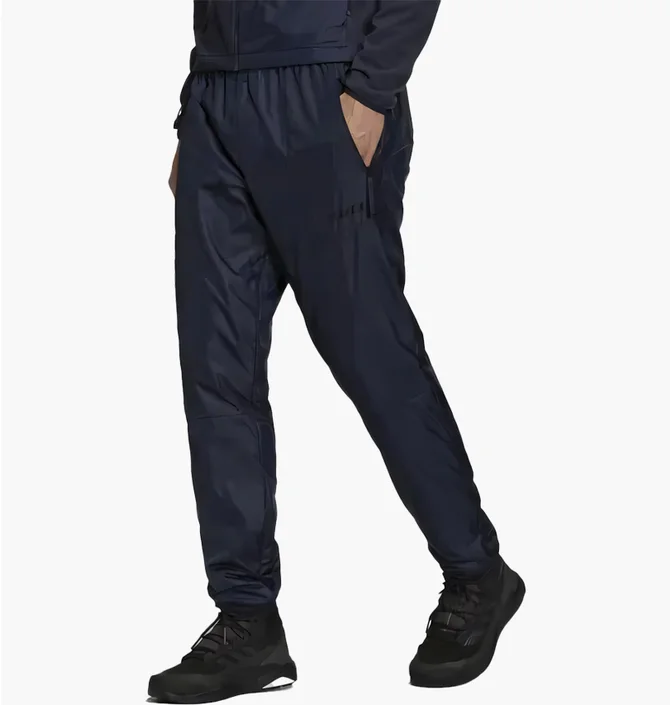 Штаны мужские Adidas Multi Primegreen Terrex Blue GQ2910