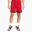 Шорты мужские Air Jordan Dri-Fit Red DH9077-687