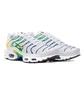 Кроссовки женские Nike Air Max Plus White DZ3671-101