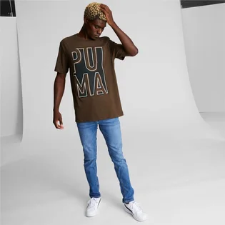 Футболка мужская Puma Outside The Box Logo Tee Brown 674615-62