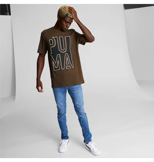 Футболка мужская Puma Outside The Box Logo Tee Brown 674615-62