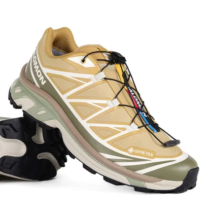 Кроссовки мужские Salomon Xt-6 Antelope/Icicle/Portabella Beige L47581000