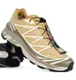 Кроссовки мужские Salomon Xt-6 Antelope/Icicle/Portabella Beige L47581000