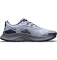 Кросівки чоловічі Nike Pegasus Trail 3 Grey Da8697-003
