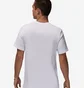 Футболка мужская Air Jordan Flt Essential Hldy Jm Crew White FZ1977-100
