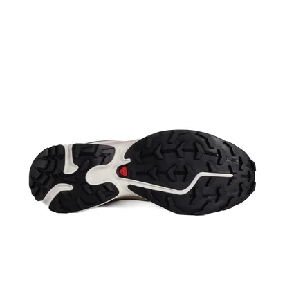 Кроссовки мужские Salomon Xt-6 Antelope/Icicle/Portabella Beige L47581000