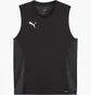 Майка мужская Puma Teamgoal Tanktop F03 Black 705913-03