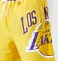 Шорти чоловічі Nike Nba Los Angeles Lakers Courtside Heritage Short Amarillo Field Yellow DB1954-728