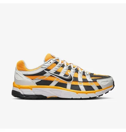 Кроссовки мужские Nike P-6000 Multi IF6208-001