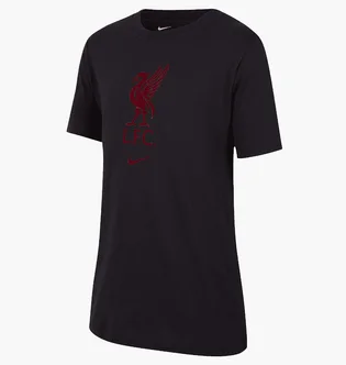 Футболка чоловіча Nike Liverpool Fc Black DM3482-011