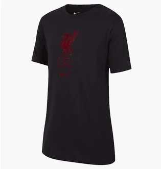 Футболка мужская Nike Liverpool Fc Black DM3482-011