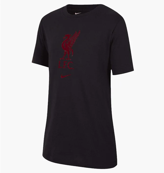 Футболка чоловіча Nike Liverpool Fc Black DM3482-011