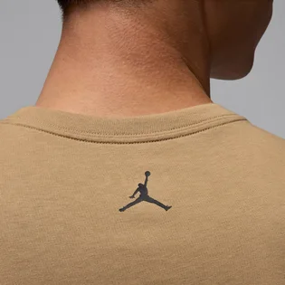 Футболка мужская Air Jordan Brand Photo Ss Crew Brown HJ2354-257