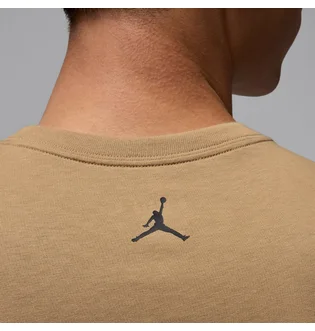 Футболка мужская Air Jordan Brand Photo Ss Crew Brown HJ2354-257