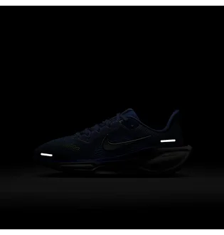 Кросівки дитячі Nike Zoom Pegasus 41 Gs Blue FN5041-400