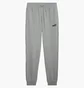 Штаны мужские Puma No. 1 Logo Grey 682608-03