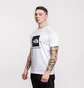 Футболка мужская The North Face Red Box Tee White NF0A3BQOFN4