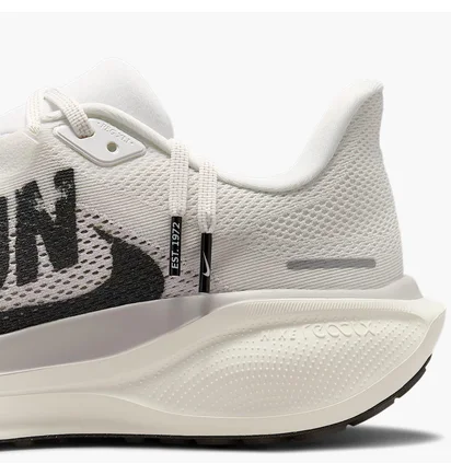 Кросівки чоловічі Nike Air Zoom Pegasus 41 White IB5697-100