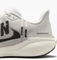 Кросівки чоловічі Nike Air Zoom Pegasus 41 White IB5697-100