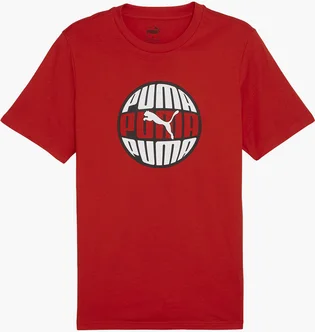 Футболка чоловіча Puma Graphics Circular Tee Red 680174-11