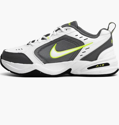 Кроссовки мужские Nike Air Monarch Iv Grey 415445-100
