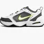 Кросівки чоловічі Nike Air Monarch Iv Grey 415445-100