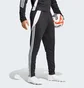Штаны мужские Adidas Tiro 24 Training Tracksuit Bottoms Black IP1952
