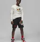 Лонгслив мужской Jordan Flight Artist Crew Beige DV1474-141
