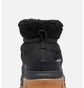 Черевики жіночі Columbia Snowtrot Shorty Black 2075121010