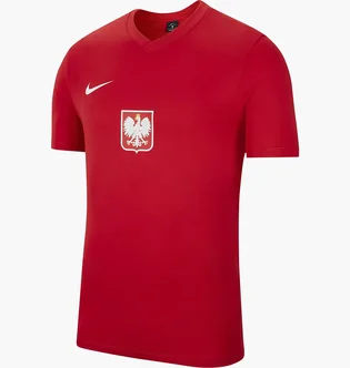 Футболка мужская Nike T-Shirt Poland Home/Away Red CD0876-688