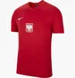 Футболка мужская Nike T-Shirt Poland Home/Away Red CD0876-688