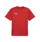 Футболка мужская Puma Teamgoal Shirt Rood Red 658636-01