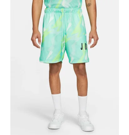 Шорты мужские Air Jordan Mech Blue/Green Cz4757-675