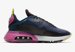 Кроссовки женские Nike Air Max 2090 Black/Pink CK2612-400