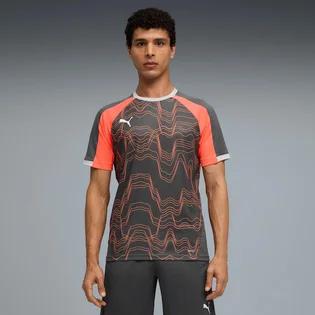 Футболка мужская Puma Individualliga Graphic Grey/Red 659924-10