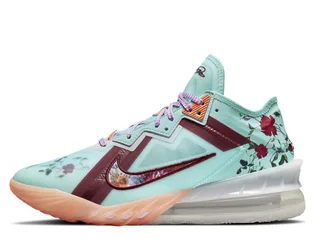 Кросівки унісекс Nike Lebron Xviii Low Floral Multi CV7562-400