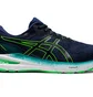 Кроссовки мужские Asics Gt 2000 10 Blue 1011B185-405