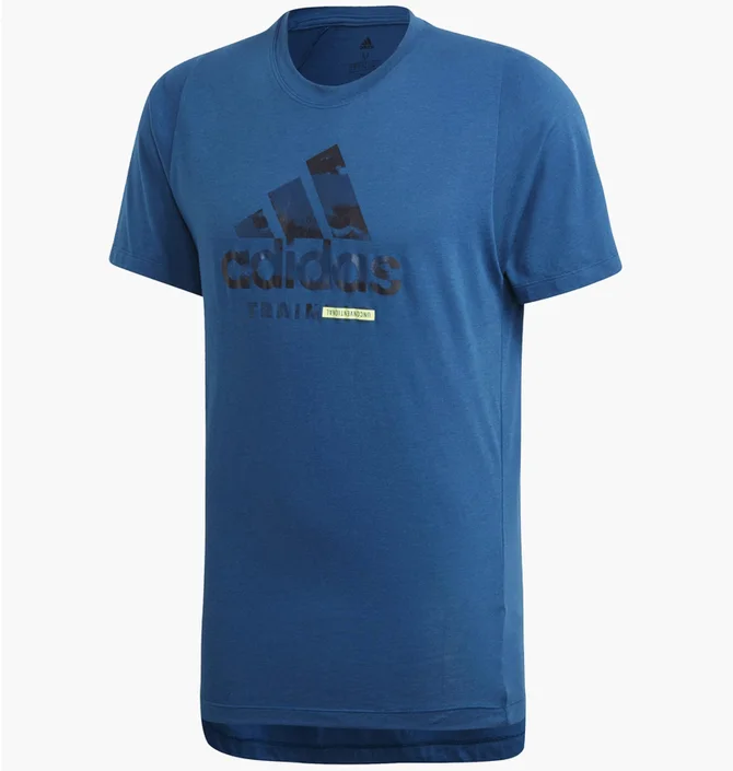 Футболка чоловіча Adidas Freelift Tee Logo T-Shirt 497 S Blue DV2497