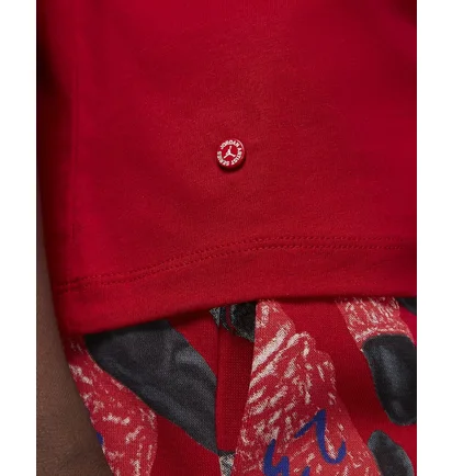 Футболка жіноча Air Jordan T-Shirt Artist Series By Parker Duncan Red DX0420-687