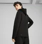 Толстовка мужская Puma Evostripe Full-Zip Hoodie Black 684613-01