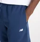 Штаны мужские New Balance Sport Essentials Fleece Blue MP41503NNY