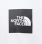 Футболка чоловіча The North Face Fine T-Shirt White NF00CEQ5LA9