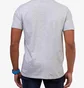 Футболка мужская U.S. Polo Assn Grey 113904-0400A-GREY