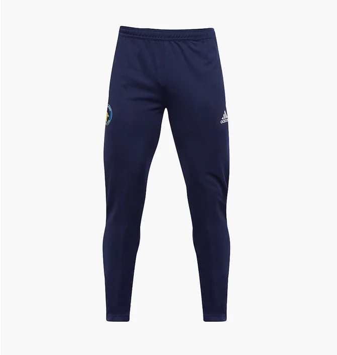 Штани чоловічі Adidas Solihull Moors 22/23 Adult Training Pants Blue HC0333