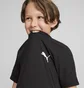 Футболка детская Puma Evostripe Youth Tee Black 676276-01